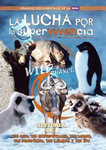The Struggle For Survival |   DVD